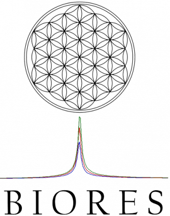 Gros logo transparent